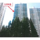 느티나무동물약국 이미지