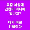 북한, 법원 전산망 해킹해 자료 1천여GB 빼갔다(이래서 총선 부정선거가 생김) 이미지