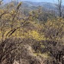 화전2 경로당 이미지