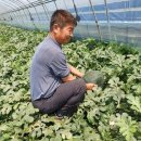 장수유기질 이미지