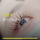 몬스터 브로우 네이버블로그