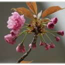 남동국민체육센터 이미지