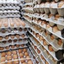 장보러마트 이미지