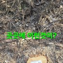 어부지리 - 김해시 번화1로114번길 7 | 어부지리
