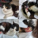 무주읍180 이미지