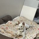 대불해수사우나