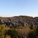 석림4로 이미지