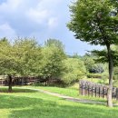 다산생태공원 이미지