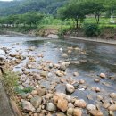 소나무풍경펜션 이미지