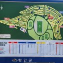 45-A | 함안 강나루파크골프장 A~E 45홀 라운딩 후기｜포대그린 ‘고지전’ 코스, OB 주의!