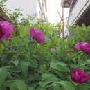 서울패밀리게스트하우스
