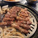 샵(#)돼일리
