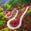 자라바위 펜션 이미지