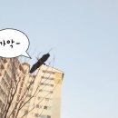 똥튀 이미지