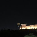 올라메히꼬 이미지