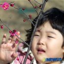 토트리