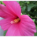 뜨락풍경 이미지