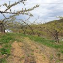 안평농장 이미지