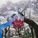 시청별관앞 꽃보라동산 이미지