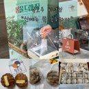 복호두 비전점 | 평택비전동호두과자 맛집 복호두 비전점 봄 신메뉴 쑥호두과자 후기 답례품