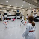 경희대인성태권도 이미지