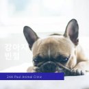 벨라인테리어 이미지