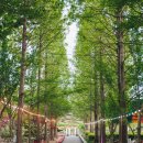 피나클랜드 이미지