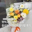 송탄-269V | 평택고덕 24시간 꽃집, 플로맨스, 가성비 꽃다발 후기