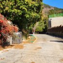 화양중학교화양남분교장 이미지