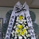 조치과의원 이미지