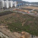 LH천년나무아파트 105동 앞 이미지