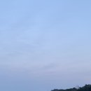 야들리애치킨