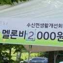 천안 수신메론축제 현장 분위기와 주차, 꿀팁과 수신메론 구매 정보까지