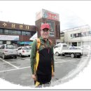 금산수삼센터 이미지