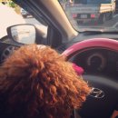 첨단나래약국 이미지