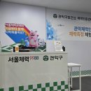 스텝박스 체조 | 9988 인증체험 후기｜내 체력을 숫자로 확인해본 하루