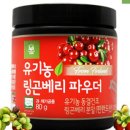 더건강365