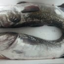생대복식당