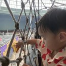강남동산어린이집 | [일상로그] 6월 3주차에서 7월 1주차까지 : 세대를 연결하는 롯데월드 나들이, 엄마의 달리기 모임...