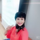 노래꽃피는마을 이미지
