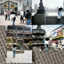 미대농원 이미지