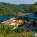울산 신흥사 석조아미타여래좌상 이미지