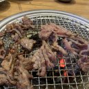 뉴진갈매기 이미지