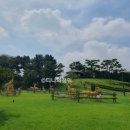 엘림축산 이미지