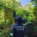 국유림 이미지