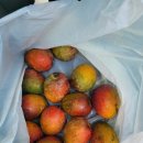 재주농장 이미지