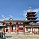 천도장묘 이미지