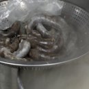 동양순대