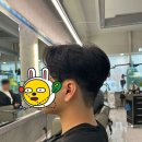 미로하담