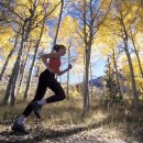 황제쑥뜸 이미지